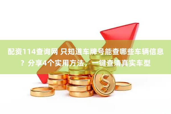 配资114查询网 只知道车牌号能查哪些车辆信息？分享4个实用方法，一键查清真实车型