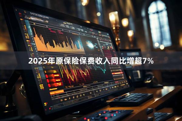 2025年原保险保费收入同比增超7%