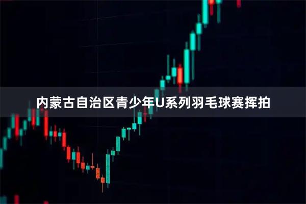 内蒙古自治区青少年U系列羽毛球赛挥拍