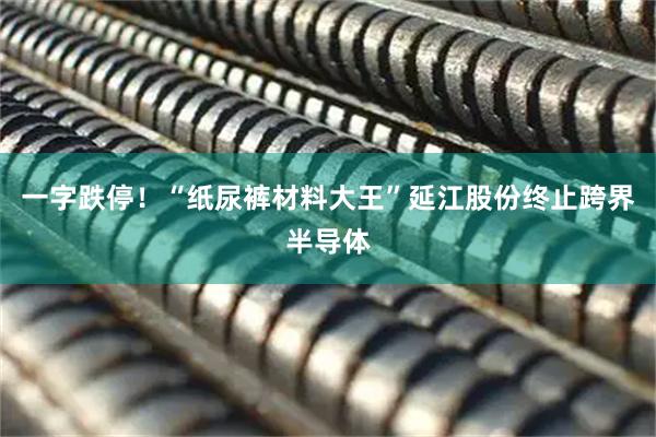 一字跌停！“纸尿裤材料大王”延江股份终止跨界半导体