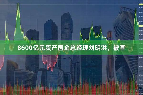 8600亿元资产国企总经理刘明洪，被查