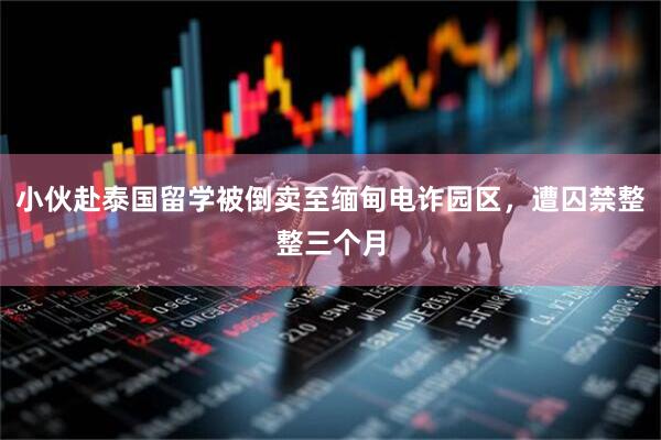 小伙赴泰国留学被倒卖至缅甸电诈园区，遭囚禁整整三个月