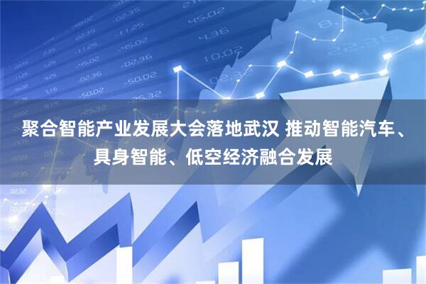 聚合智能产业发展大会落地武汉 推动智能汽车、具身智能、低空经济融合发展