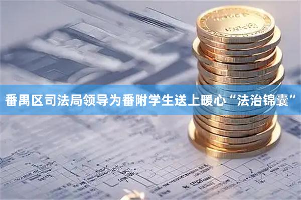番禺区司法局领导为番附学生送上暖心“法治锦囊”